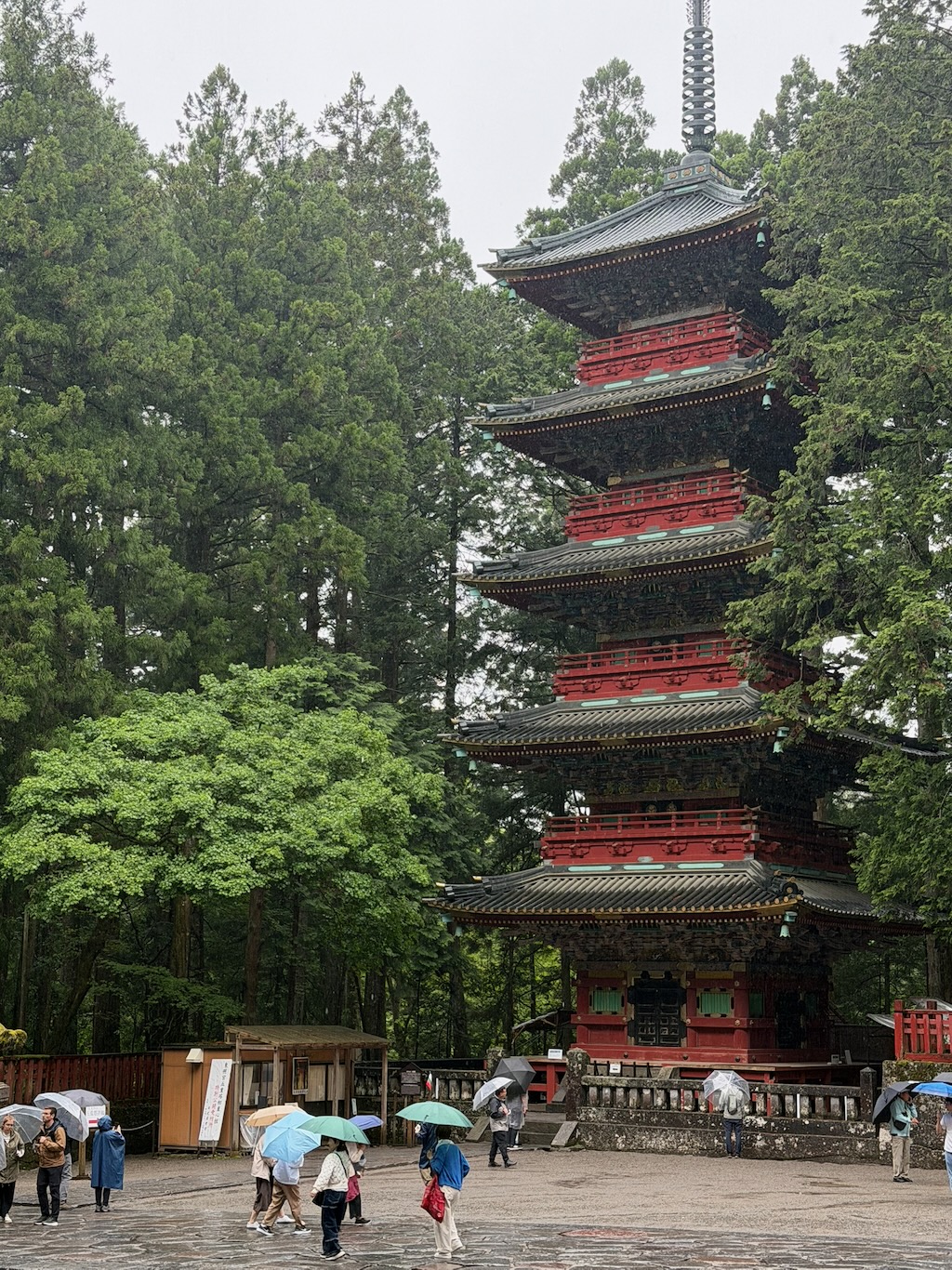日光東照宮的五重塔，朱紅與金色彩繪在雨中依然亮眼